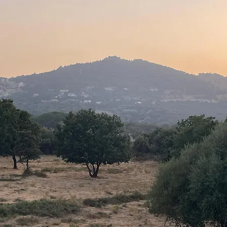 Les Cigales * Calenzana